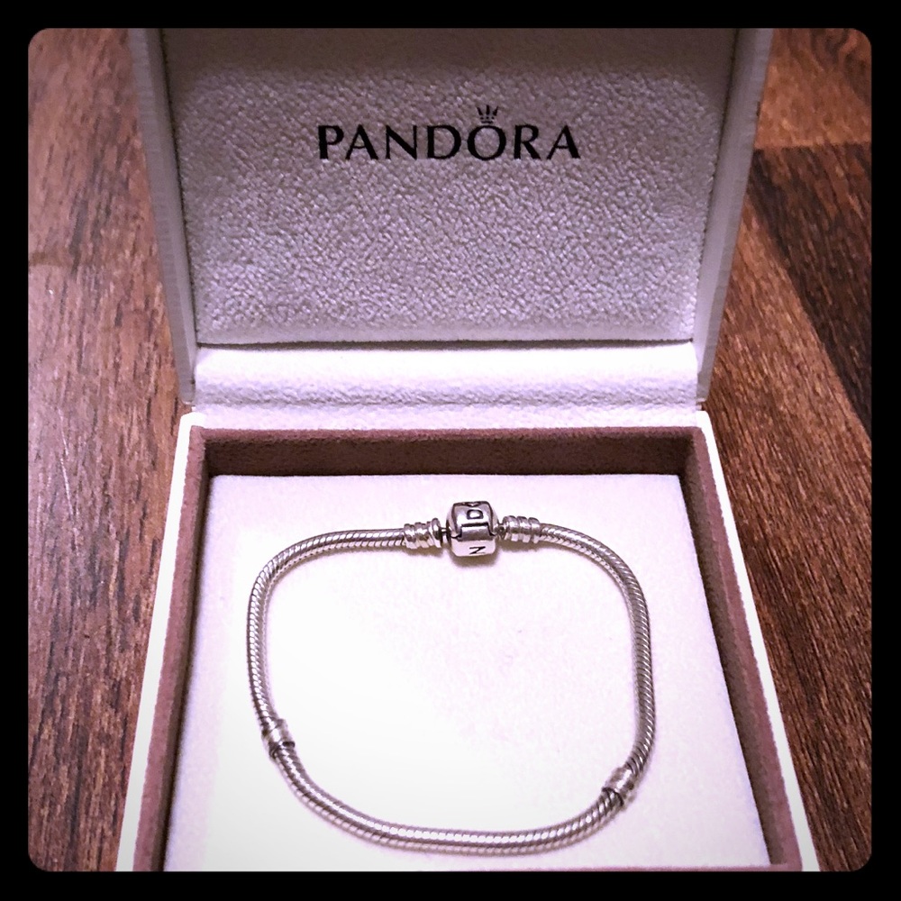 Pandora charm bracelet